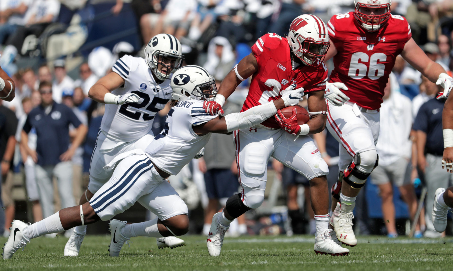 Badgers vs. Cougars